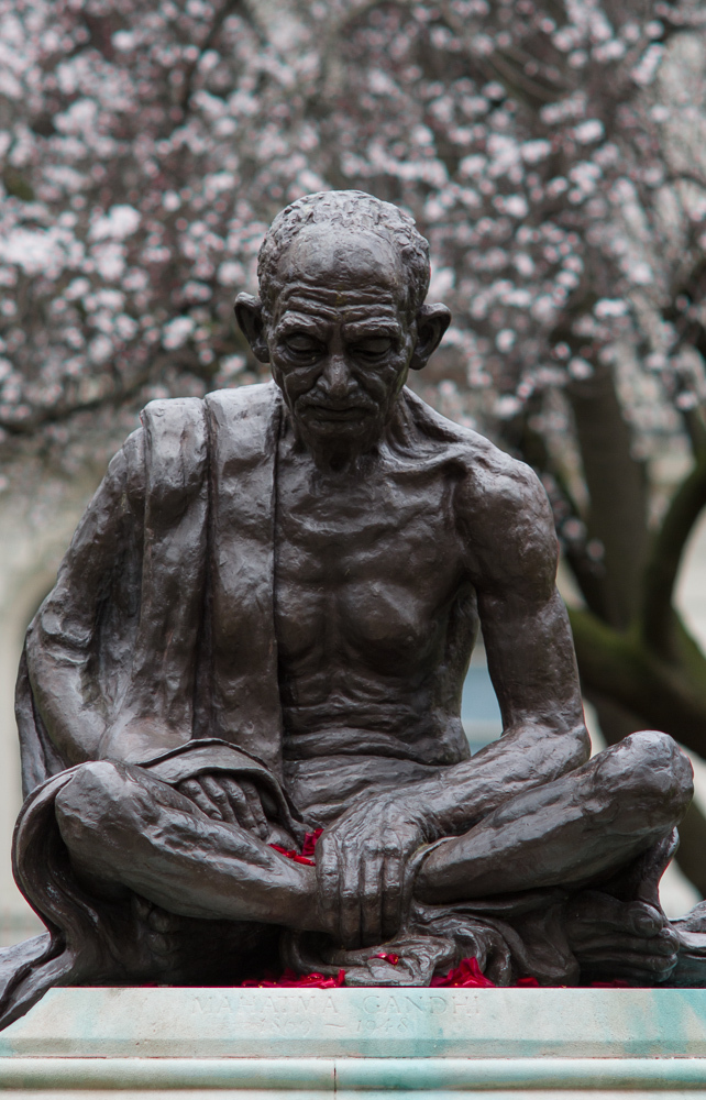 Gandhi in the springtime