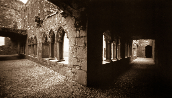 Bective Abbey cloisters