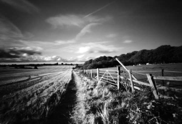 Hertfordshire fence