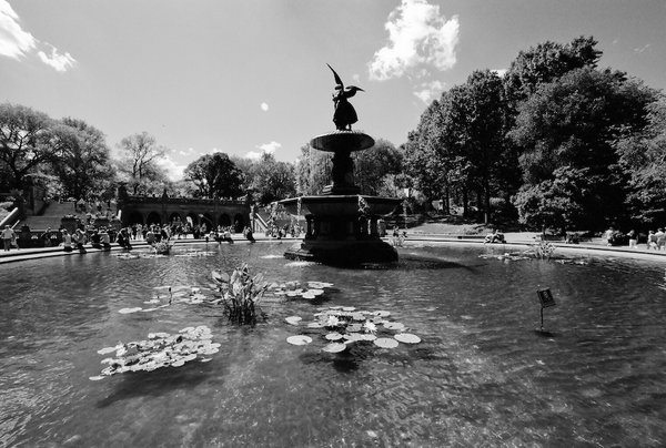 Bethesda Fountain (2)