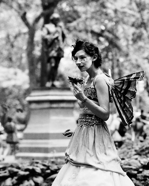 Central Park Fairy