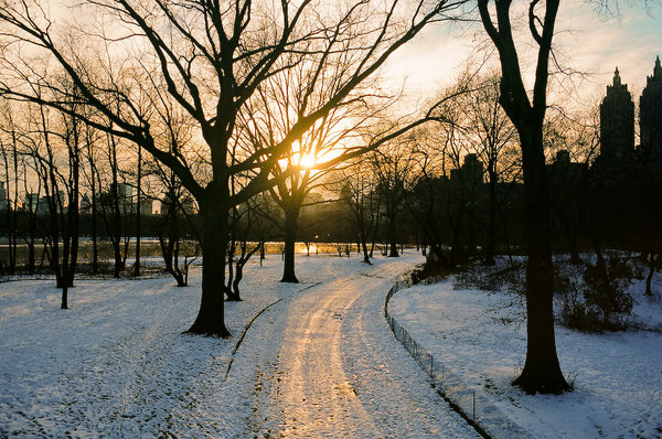 Central Park sunset